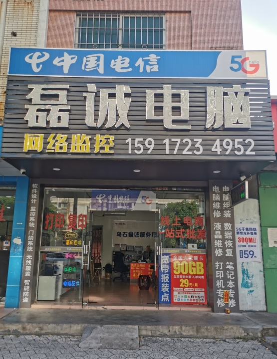 磊诚电脑网络监控